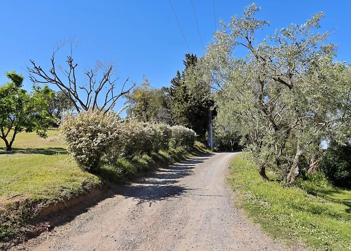 Domaine Punta Della Guardia Maison A Figa Mit Blick Auf By Interhome *