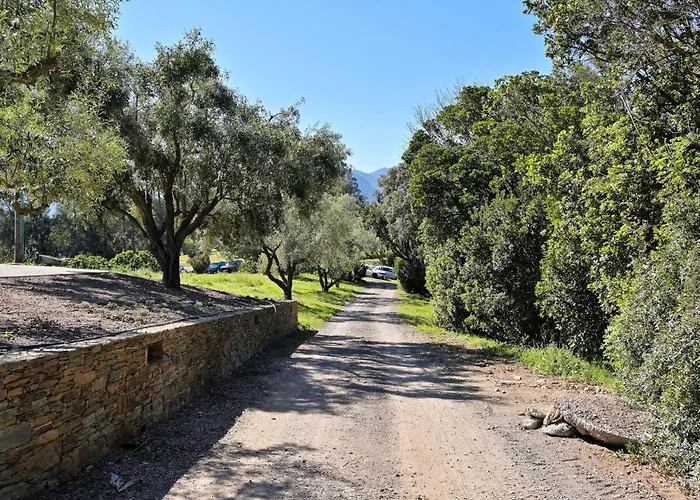 Casa vacanze Domaine Punta Della Guardia Maison A Figa Mit Blick Auf By Interhome *