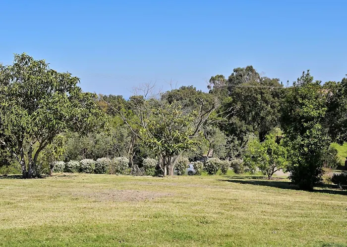 Domaine Punta Della Guardia Maison A Figa Mit Blick Auf By Interhome