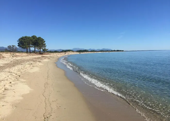 Domaine Punta Della Guardia Maison A Figa Mit Blick Auf By Interhome Casa vacanze Cervione