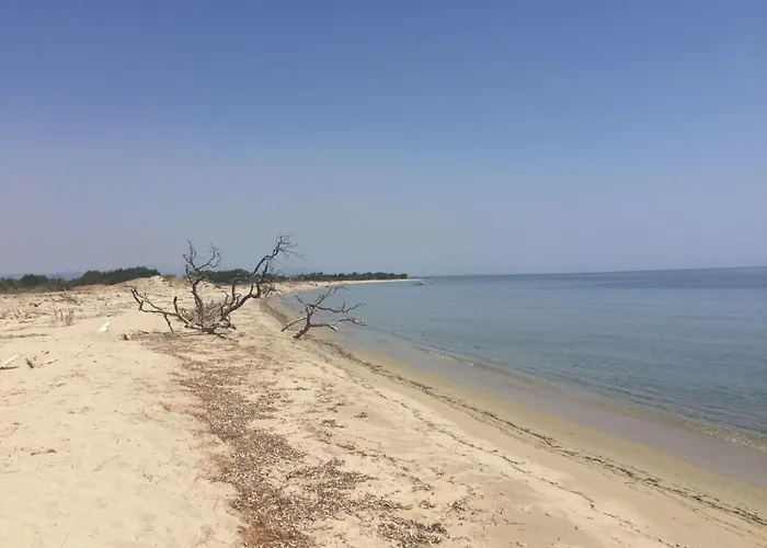 Domaine Punta Della Guardia Maison A Figa Mit Blick Auf By Interhome Cervione