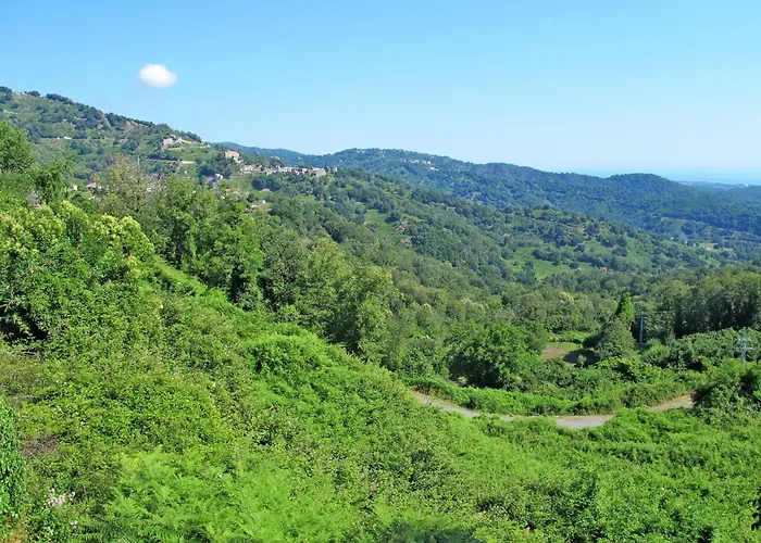Hébergement de vacances Domaine Punta Della Guardia Maison A Figa Mit Blick Auf By Interhome