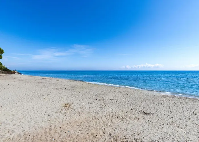 Domaine Punta Della Guardia Maison A Figa Mit Blick Auf By Interhome Cervione